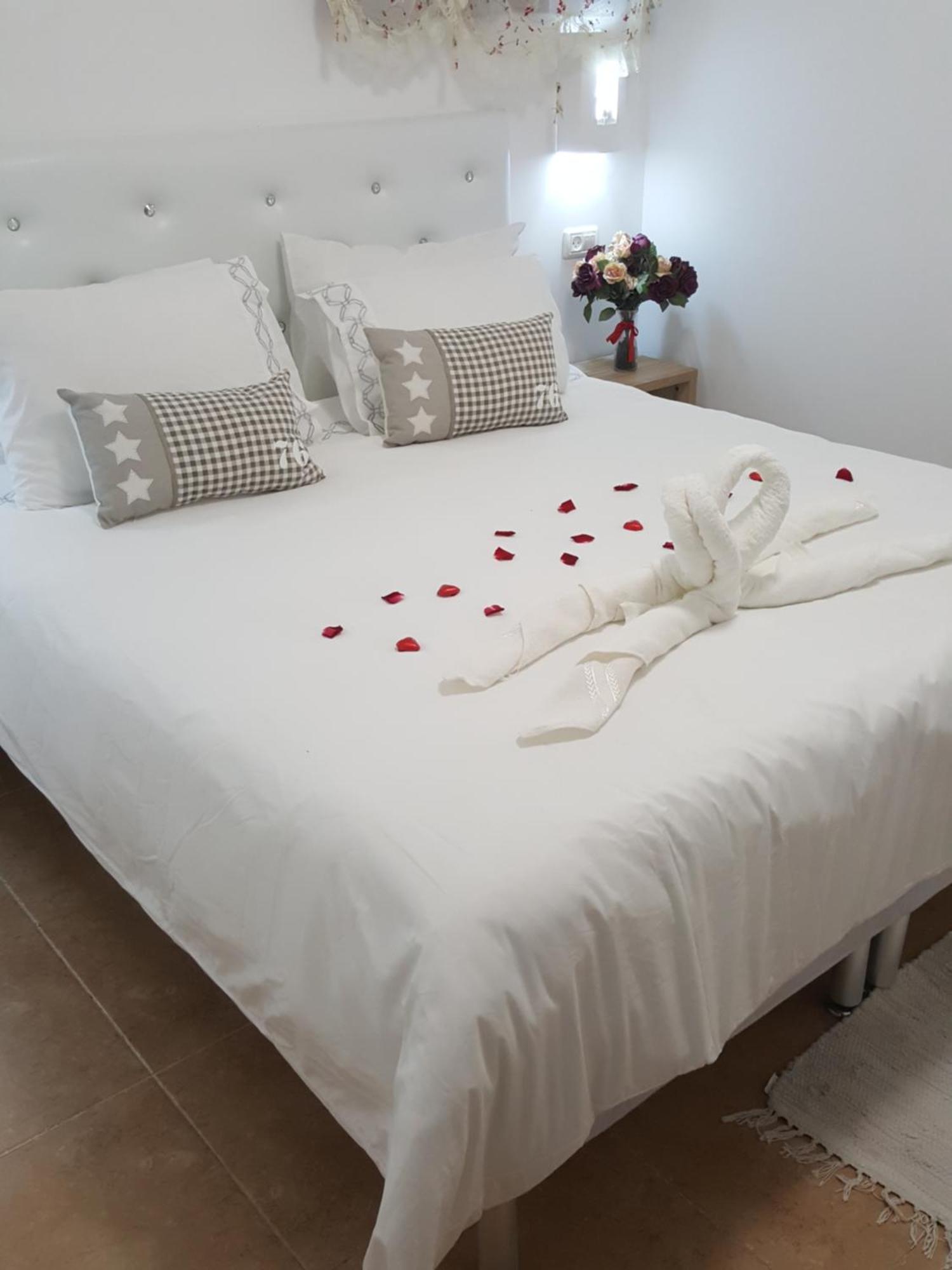 Zimmer Belev Hakikar- Dead Sea Neot HaKikar Exterior photo